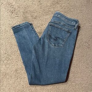 Silver Suki Skinny 29